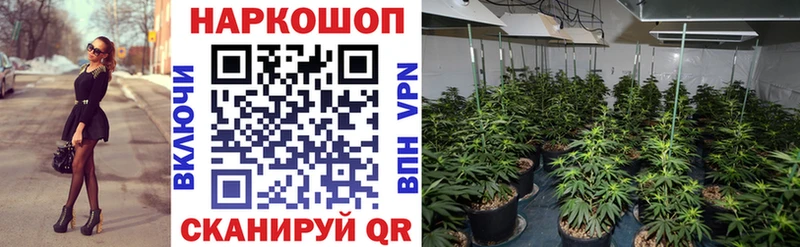 Цена Мариинский Посад MDMA Кокаин ГАШИШ Альфа ПВП Меф МАРИХУАНА