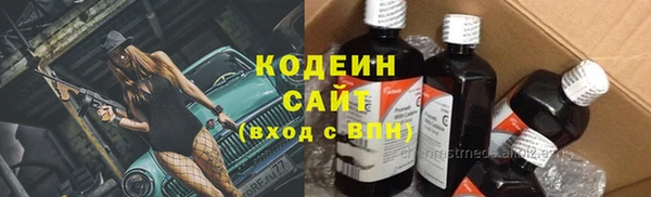 дмт Кодинск