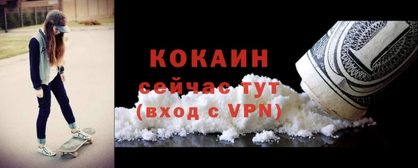 дмт Кодинск