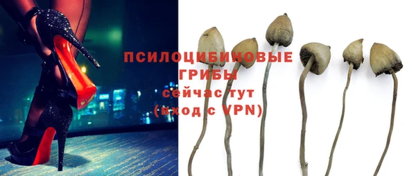 дмт Кодинск