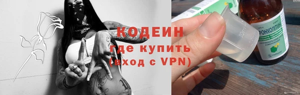 дмт Кодинск