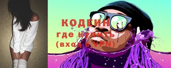 дмт Кодинск