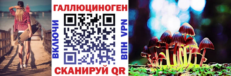 где продают наркотики  Мариинский Посад  Псилоцибиновые грибы Psilocybe 