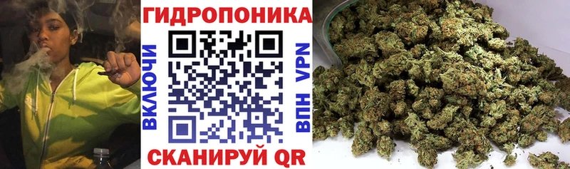 Шишки марихуана конопля Мариинский Посад